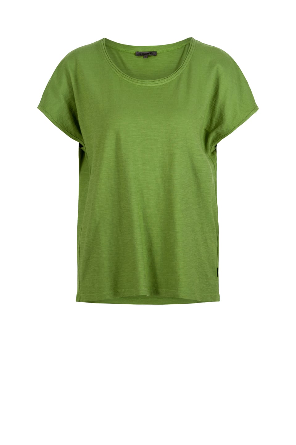 Shirt 412 - Organic Cotton Jersey - 660WILLOW - 10240110056
