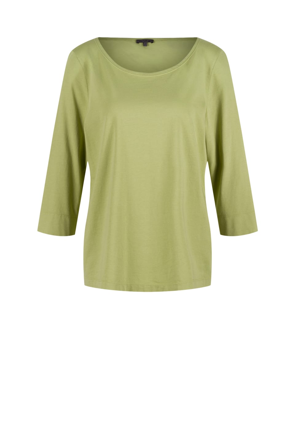 Shirt 610 - Cotton jersey - 730FERN - 10260110642