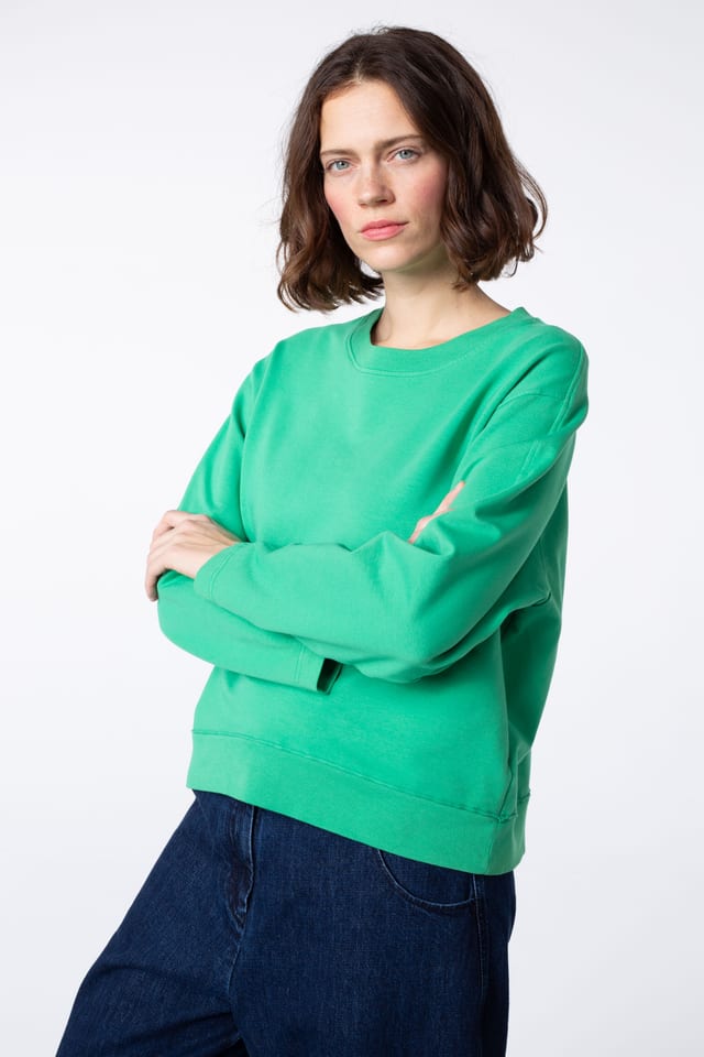 Pullover 402 - Cotton sweat with stretch - 640PLANTS - 60240710004