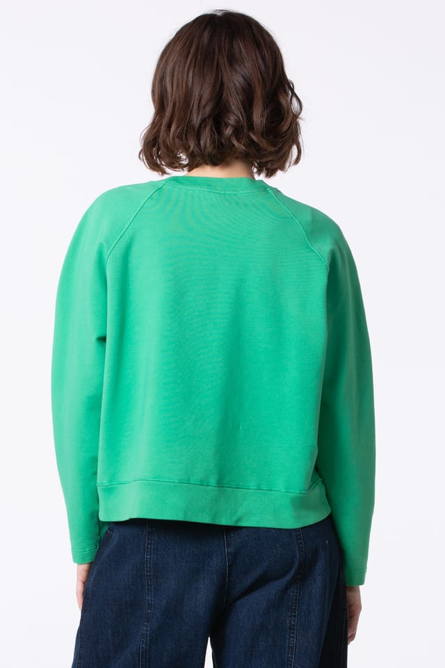 Pullover 402 - Cotton sweat with stretch - 640PLANTS - 60240710004