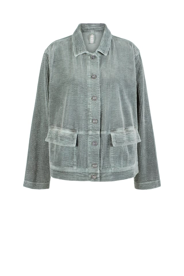 Jacket 404 - Wide-waled cotton corduroy - 532DRIZZLE - 60240710031