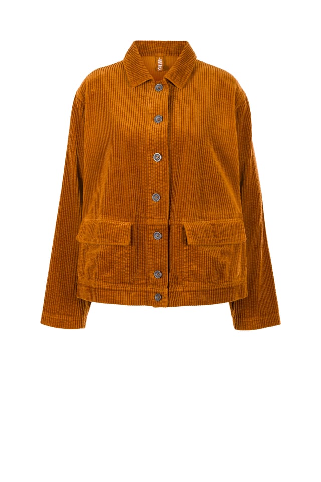 Jacket 404 - Wide-waled cotton corduroy - 850SISAL - 60240710031