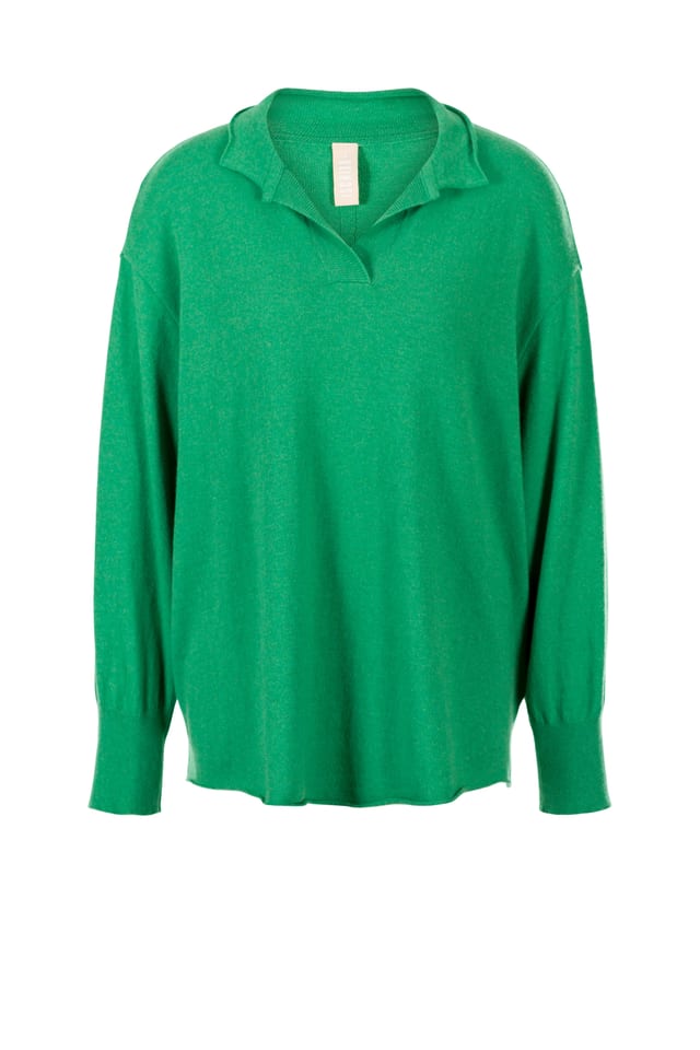 Pullover 420 - Wool viscose blend with cashmere - 640PLANTS - 60240713017