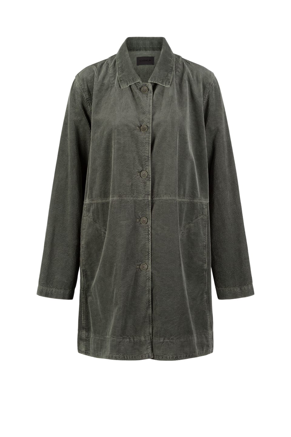 Jacket 513 - Pure cotton corduroy - 642THISTLE - 10250710097