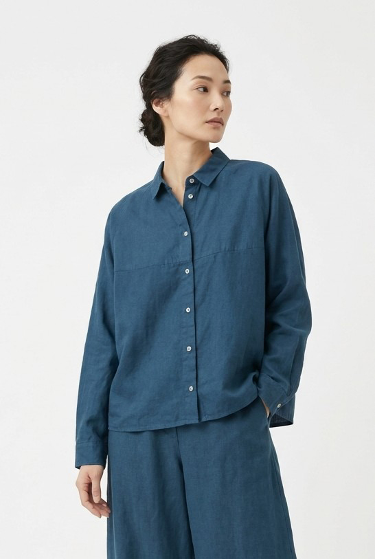 Blouse 6584 450LAKE Fine Pinstripe Cotton Poplin